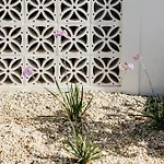 Casa Vermelha Villa *