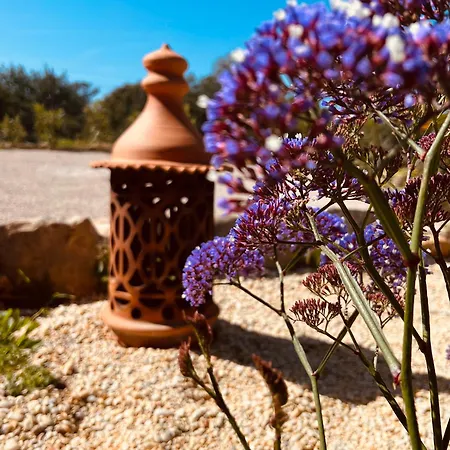 Casa Vermelha * مونكاراباشو