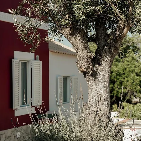 Casa Vermelha * مونكاراباشو