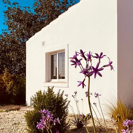 Villa Casa Vermelha